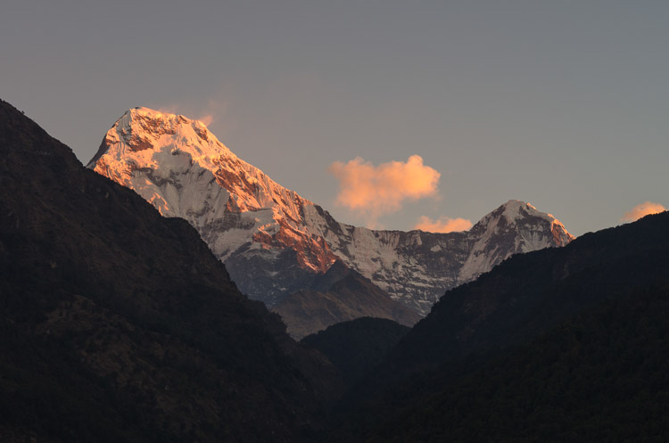 Annapurna South from Ulleri